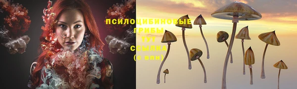 тгк Дмитров