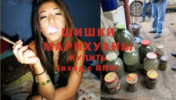 тгк Дмитров