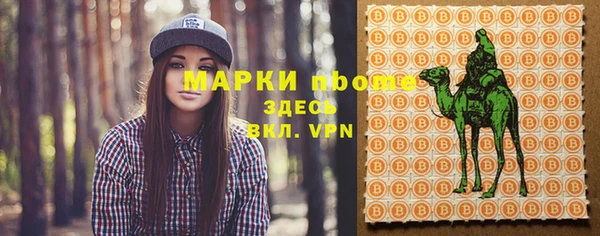 стаф Дмитровск