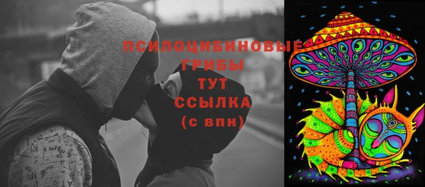 тгк Дмитров