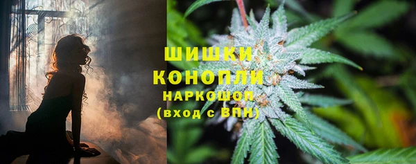 стаф Дмитровск